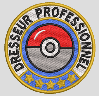 Badge Pokemon dresseur